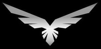 Metallic Eagle Logo Design